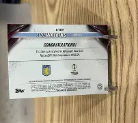 半岛体育官方入口-今晚突围战来临，阿斯顿维拉围绕欧冠豪取连胜，信心回归，心理建设被强调