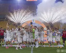 法国vs意大利预测分析